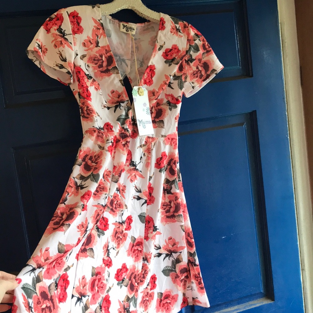 Show Me Your MuMu Dress